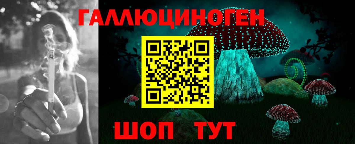 Псилоцибиновые грибы прущие грибы Ачинск
