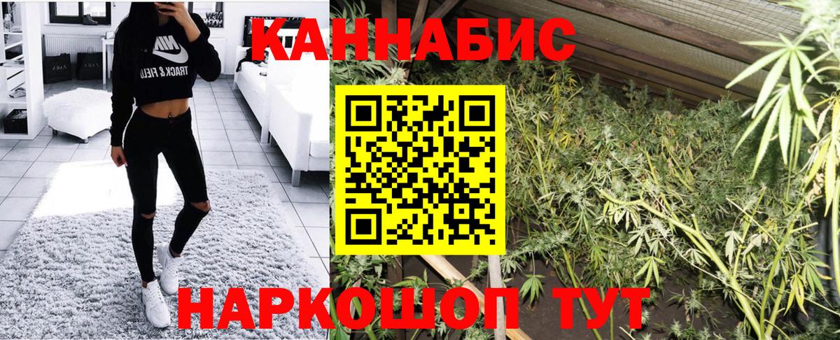 Шишки марихуана OG Kush Ачинск